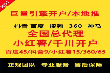 SEM服务案例：打造行业领先品牌